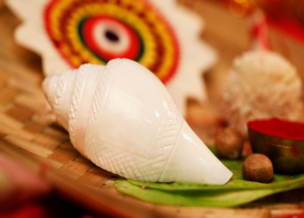 conch
