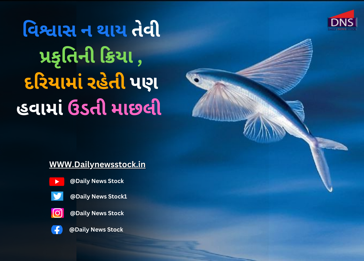 Ajab-Gajab : વિશ્વાસ ન થાય તેવી પ્રકૃતિની ક્રિયા: દરિયામાં રહેતી પણ હવામાં ઉડતી માછલી – ‘ફ્લાઈંગ ફિશ’