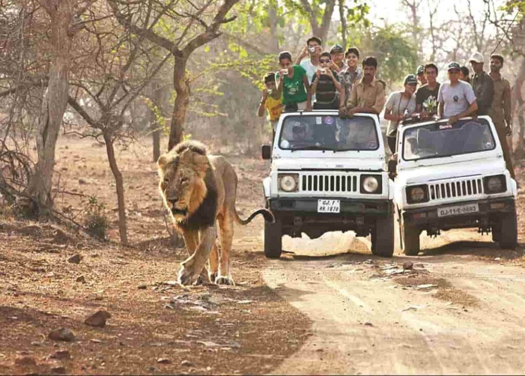 gujarat 