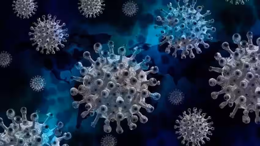 Corona 