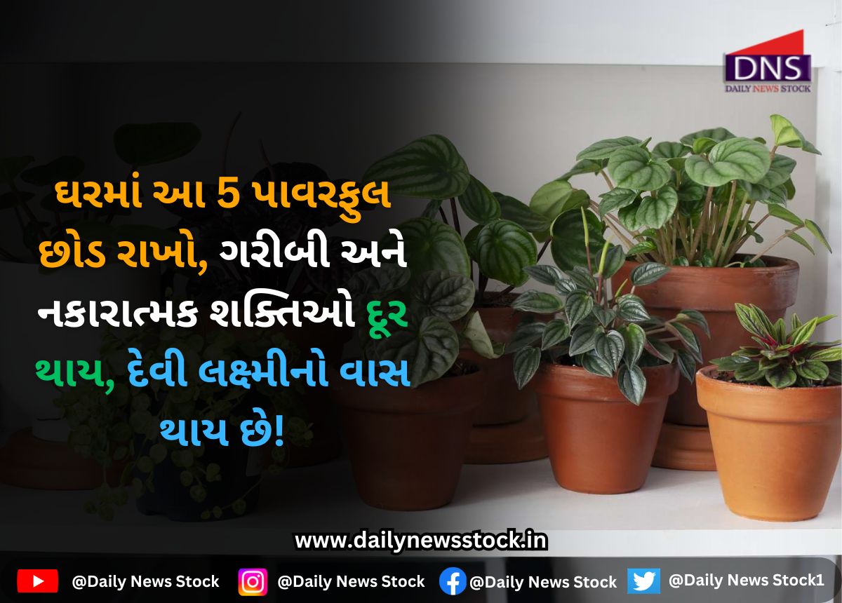 Vastu tips : ઘરમાં આ 5 પાવરફુલ છોડ રાખો, ગરીબી અને નકારાત્મક શક્તિઓ દૂર થાય, દેવી લક્ષ્મીનો વાસ થાય છે!