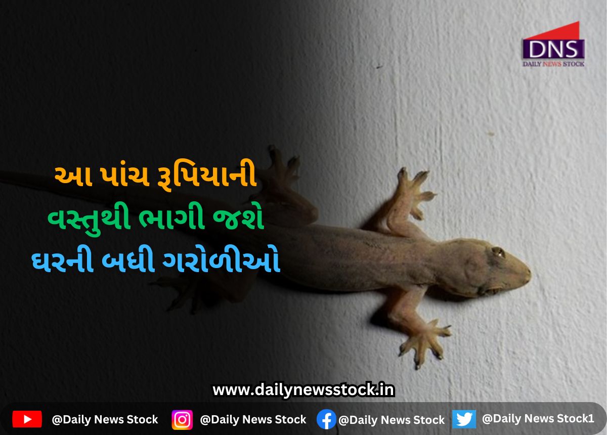 Ajab Gajab : આ પાંચ રૂપિયાની વસ્તુથી ભાગી જશે ઘરની બધી ગરોળીઓ