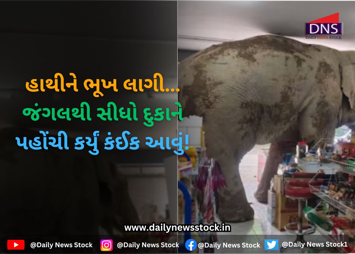 Viral Video : હાથીને ભૂખ લાગી… જંગલથી સીધો દુકાને પહોંચી કર્યું કંઈક આવું!