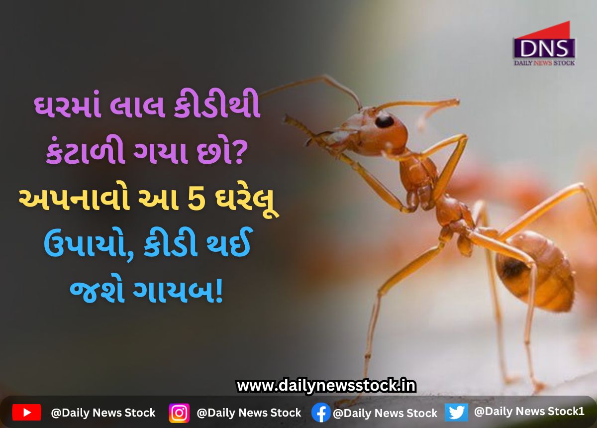 Vastu Tips | Daily News Stock