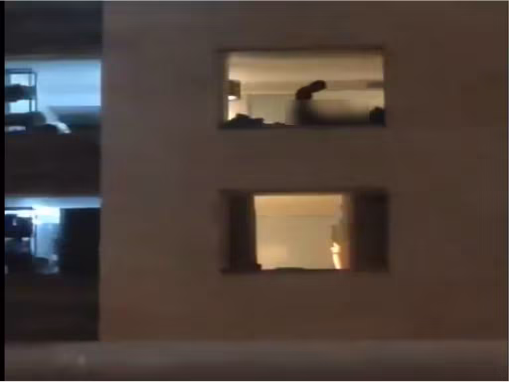 Viral Video | Daily News Stock