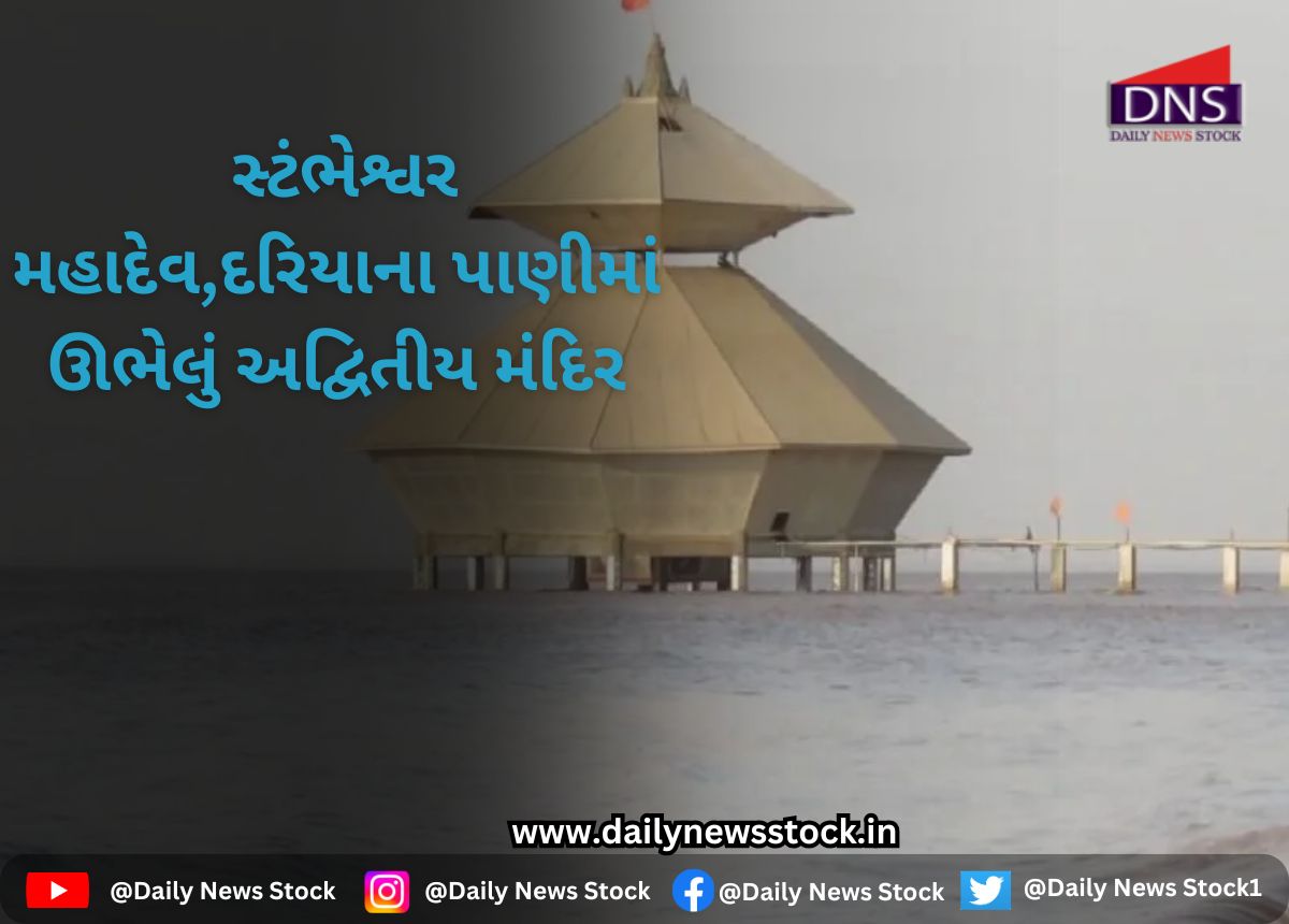 dharma daily news stock