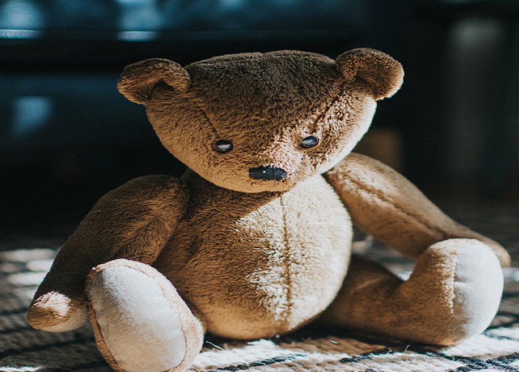 teddy bear daily news stock
