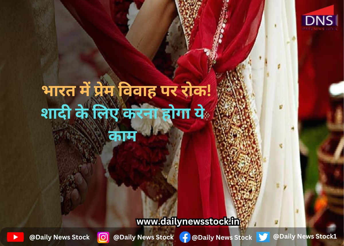 india daily news stock