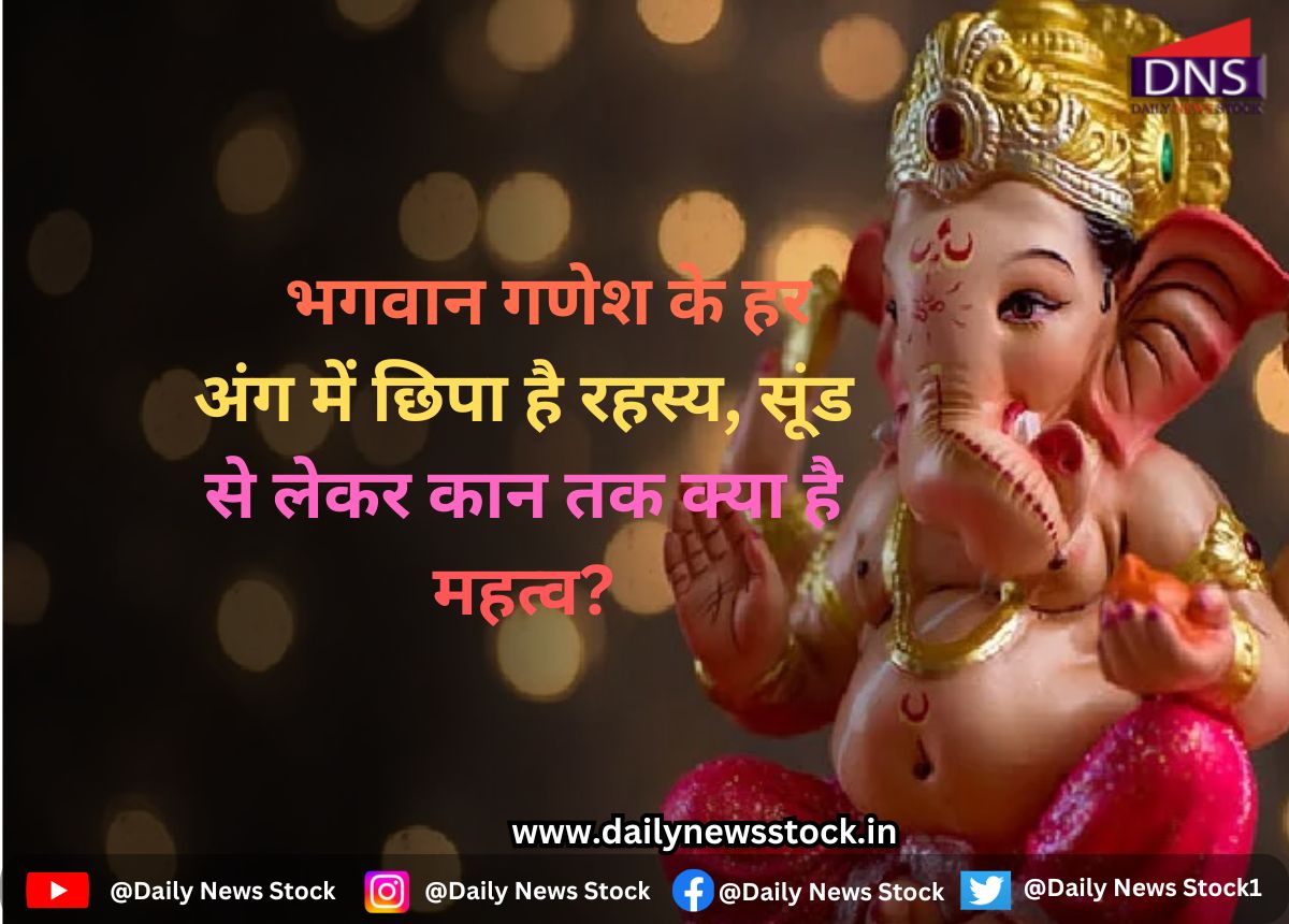 dharma daily news stock