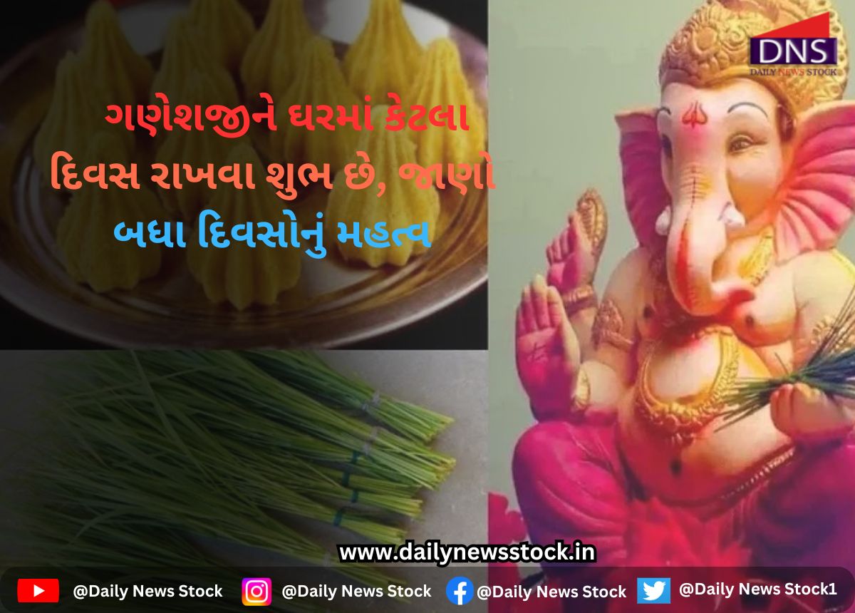 dharma daily news stock