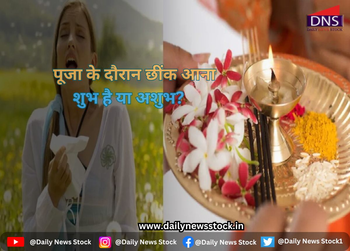 dharma daily news stock