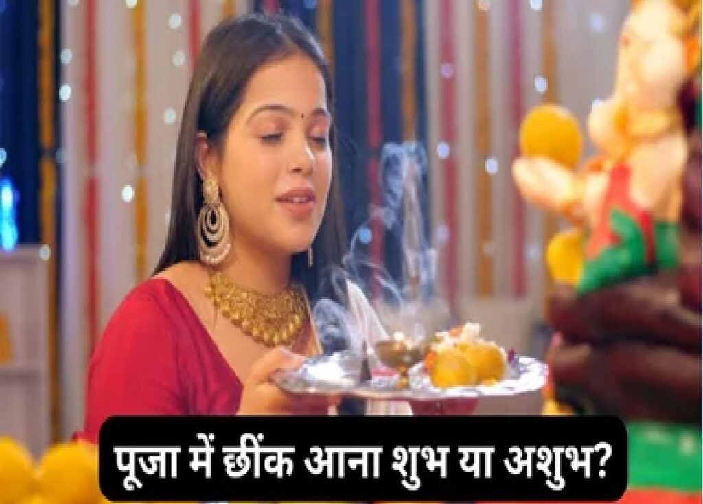 dharma daily news stock