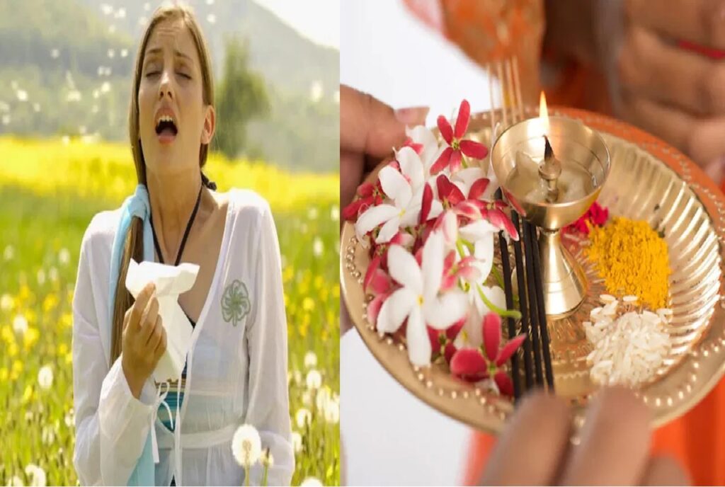 dharma daily news stock