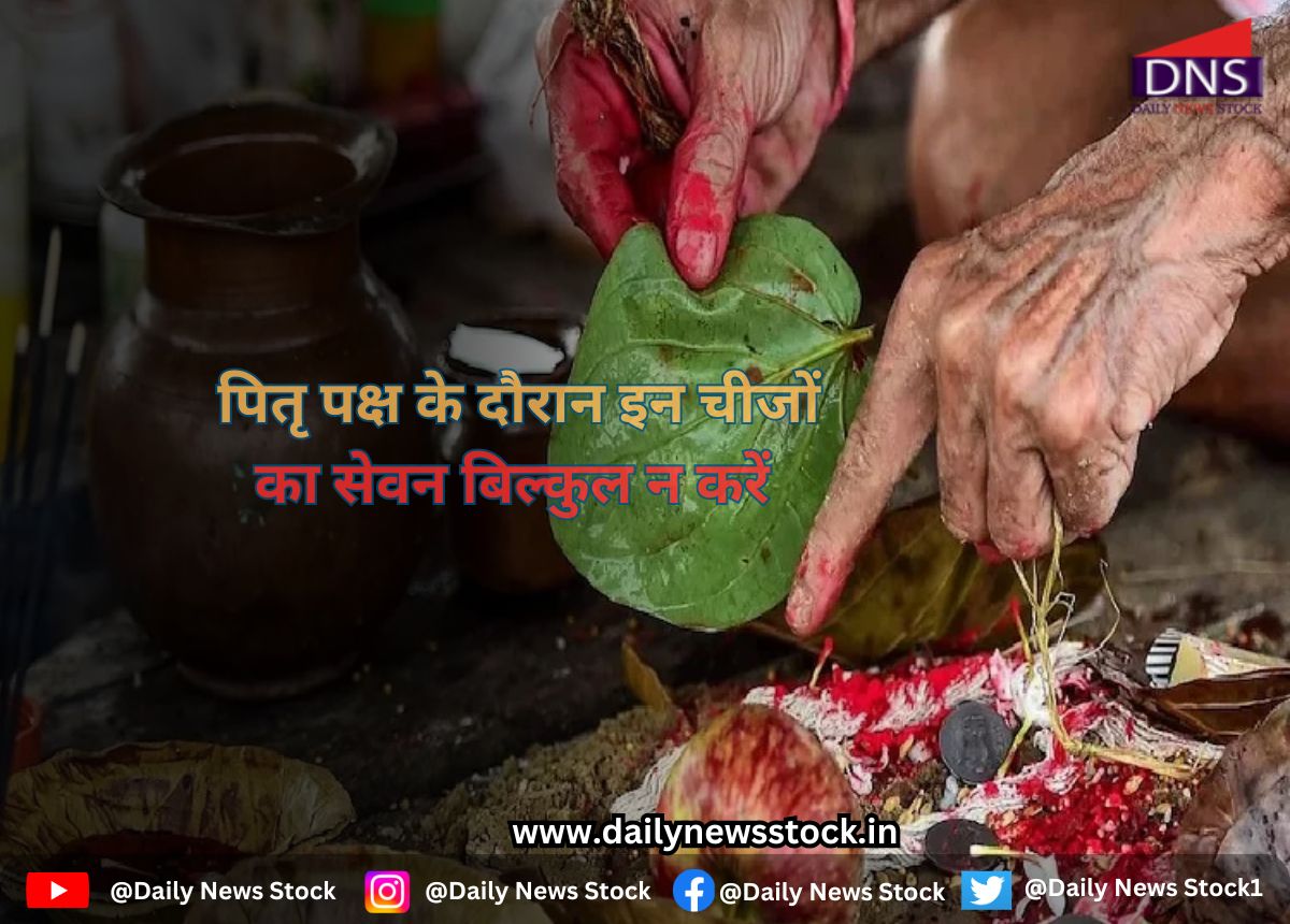 dharma daily news stock