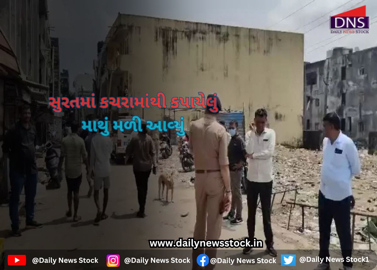 surat daily news stock