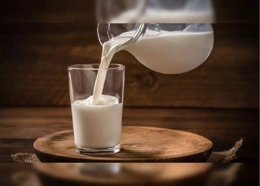 gujarat daily news stock 