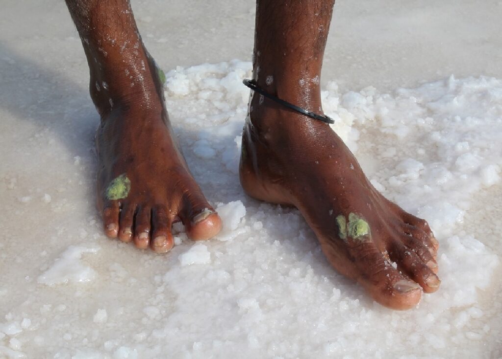 ajab gajab daily news stock