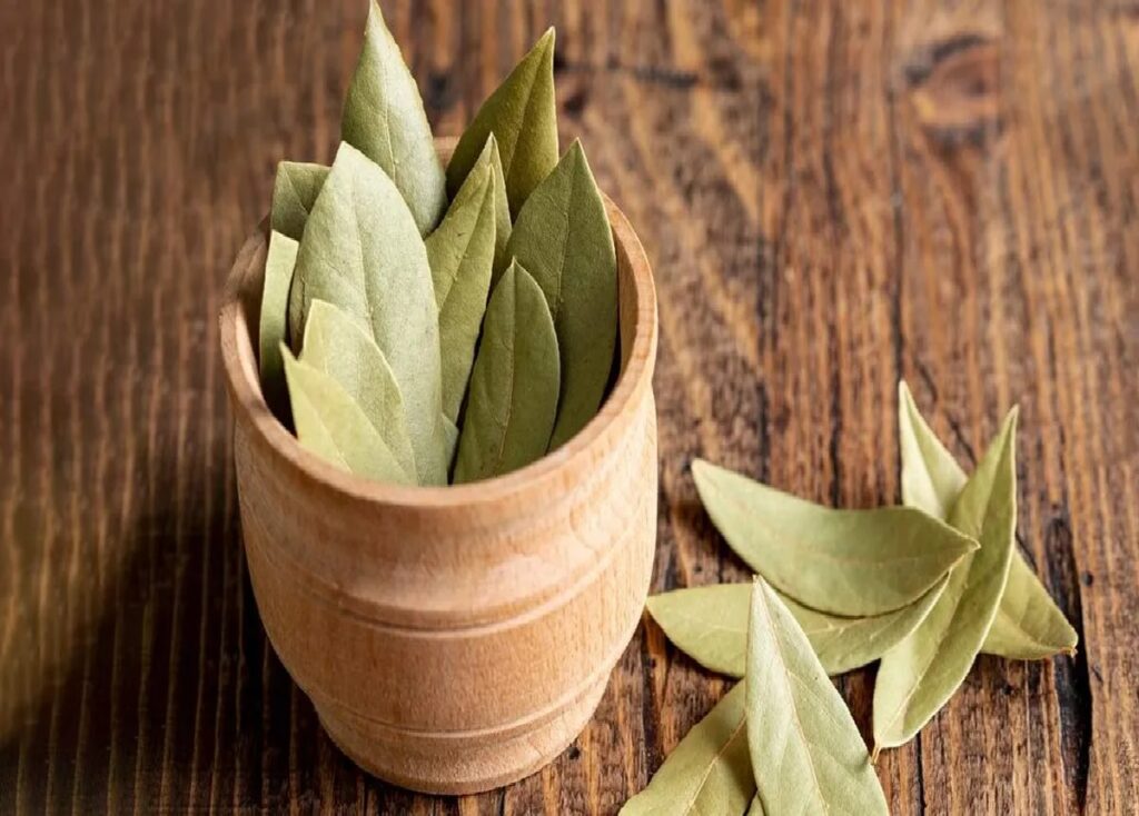 dharma daily news stock 