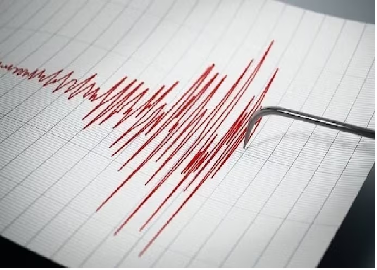 gujarat daily news stock